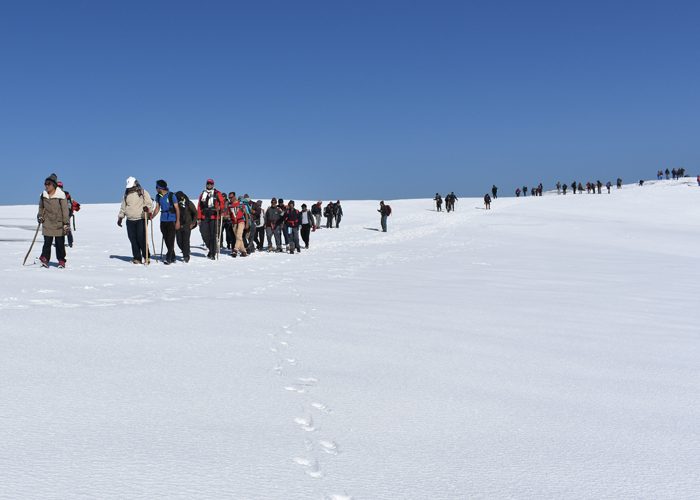 yhai sar pass trek booking