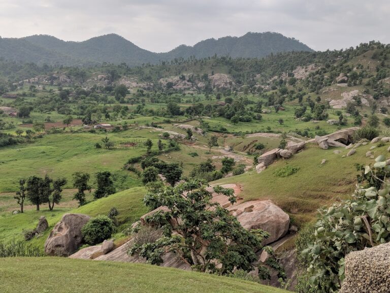 00000IMG_00000_BURST20180812172335600_COVER