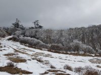 dalhousie trek yhai