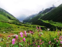 dalhousie trek yhai