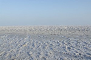 Kutch 2007